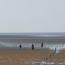 탐앤탐스왕산점