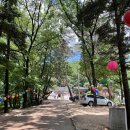 UR(파주시)-[새꽃로]-상-8 | 삼신할머니 감사해요❤️ 파주맛집 파주닭국수 첫방문