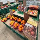 대야정육점 이미지