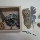 심석초등학교 이미지