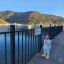 아이놀터 이미지