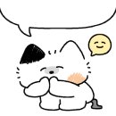 알로하니케이크 이미지