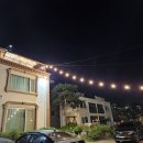 제부도펜션 벚꽃 이미지