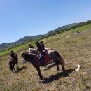 가가홀스 이미지