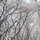 진주시립연암도서관 이미지