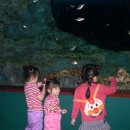 청계천카랜드 이미지