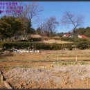 석전동161 이미지