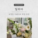 보정동 카페거리 | 보정동 카페거리 꽃집 일리아 후기｜기념일에 선물하기 좋은 꽃다발 💐