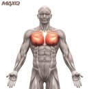 효성헬스 이미지