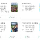 제주-서울 어린이 청소년 오케스트라 교류 연주회 | 25년 광복절 행사 소개, 축제일 안내, 광복절 관련 노래 추천