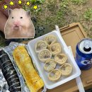 행복한참김밥