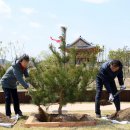 대한세탁나라 이미지