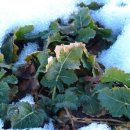 세정한의원 이미지