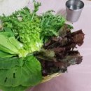 감골한의원 이미지