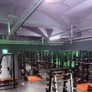 짐포레스트 이미지