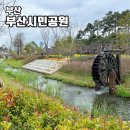 시민공원 남문 | 부산 부산시민공원 남문인근 주차장이용 모래백사장있는 벚꽃피크닉