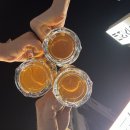 [대전수퍼 둔산포차] 둔산동 애견동반 가능 야장포차