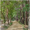 [148회 박동창] 맨발로 걷는 건강한 삶과 존엄한 죽음 | 24.6.13. 존엄한 죽음...광주시민의숲 맨발걷기 1만 보 318일째