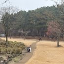 소길동백 | 제주 애월 베이커리 카페 이끼숲소길 동백꽃 이끼숲 산책로 포토스팟 후기