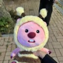 로바다야끼그물 이미지