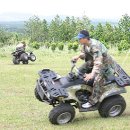 대유랜드 이미지