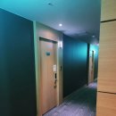 옐로우 마린 블루 이미지