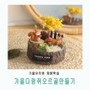 명륜초등학교 병설유치원 | 부산양산 가을 유치원체험학습 다람쥐 오르골만들기행사