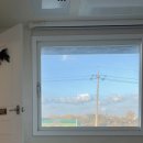 폴인럽제주 이미지