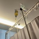 성현내과의원 이미지