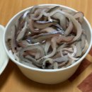 자연의미소민박 | 충남 홍성 남당항 쭈꾸미 낚시 1박2일 후기