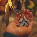 구슬치기 이미지