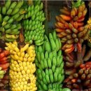 다 보이는 세상 이미지