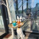대구 군위 카페 엘아르카비타 팔공산점 정원이 있는 카페