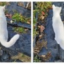 진주신경과의원 이미지