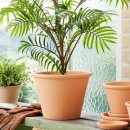 라운더리 이미지