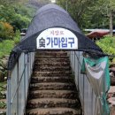참 숯가마 찜질방 이미지