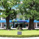 화순군산림조합 이미지