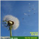 5월 23일 노무현대통령 추모일. 한국의 탄생화와 부부꽃배달 / 민들레 이미지