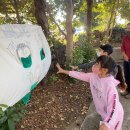 태흥초등학교 병설유치원 이미지