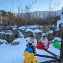 쥬쥬키즈풀빌라펜션 이미지