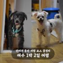 코아식자재마트 | 여수 1박2일 반려견 동반 여행 일정 총정리 | 숙소·식당·카페 추천