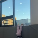 JC 태권도장 이미지