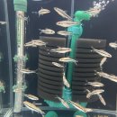 피쉬갤러리 천안점 이미지