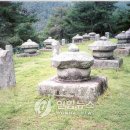 세종대왕자 태실 이미지