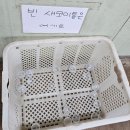 설천면055 | 남해가볼만한곳 추천 힐링+먹이주기체험까지 가능한 가족여행 코스 남해 숨은 명소 발견