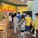 창녕우포곤충나라 이미지