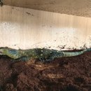 파충류카페 비비안 이미지