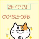 김포고양이분양 맘스캣 | 김포고양이분양 청결한공간에서 만난 첫 반려묘