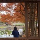 전주 가볼만한곳 한국도로공사 수목원 이미지