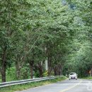 양산배내골 사과정보화마을 | [경상남도 양산시] 배내골 - 전 견종 가능 · 맹견 입마개 · 목줄 착용 · 배변봉투 지참